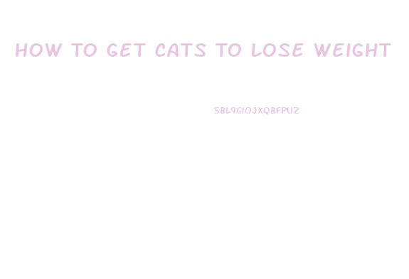 How To Get Cats To Lose Weight