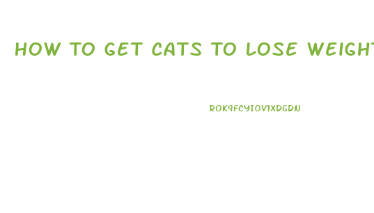 How To Get Cats To Lose Weight