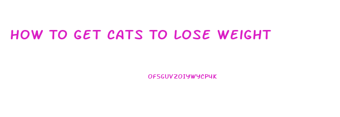 How To Get Cats To Lose Weight