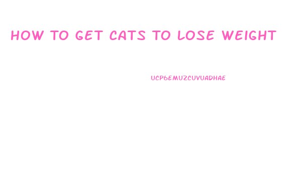 How To Get Cats To Lose Weight