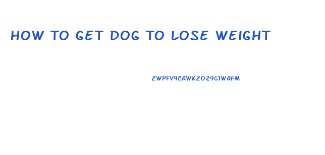 How To Get Dog To Lose Weight