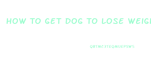 How To Get Dog To Lose Weight