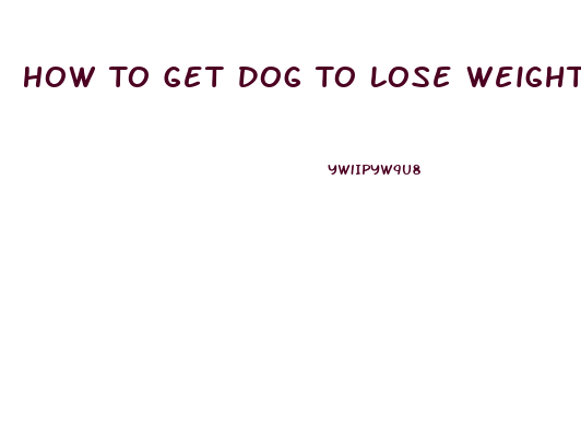 How To Get Dog To Lose Weight