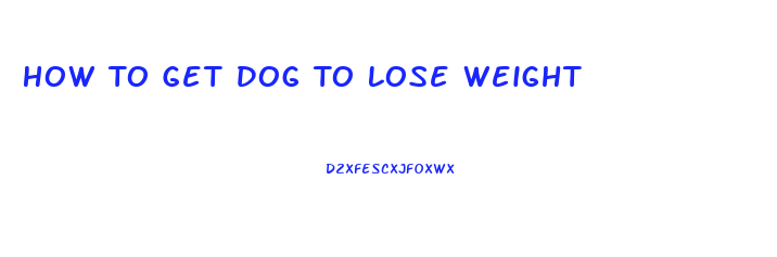 How To Get Dog To Lose Weight