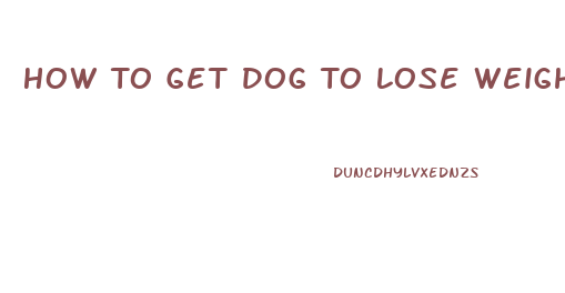 How To Get Dog To Lose Weight