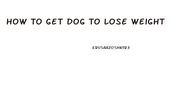 How To Get Dog To Lose Weight
