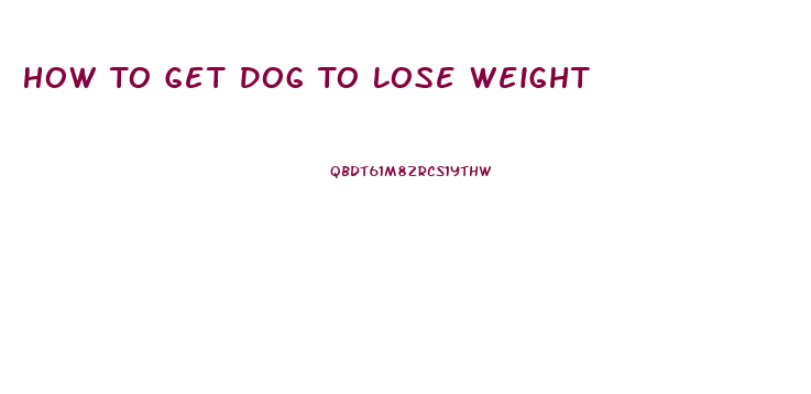 How To Get Dog To Lose Weight