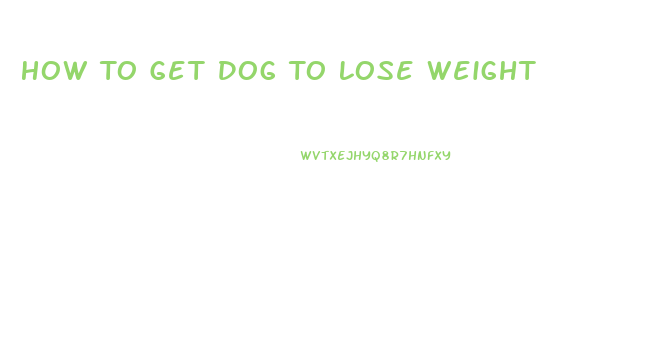 How To Get Dog To Lose Weight