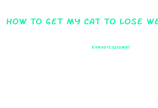 How To Get My Cat To Lose Weight