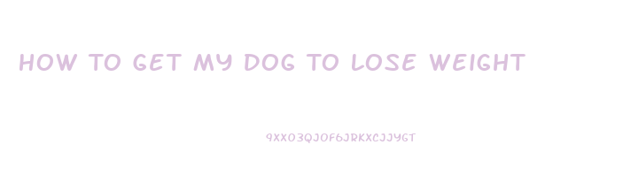 How To Get My Dog To Lose Weight