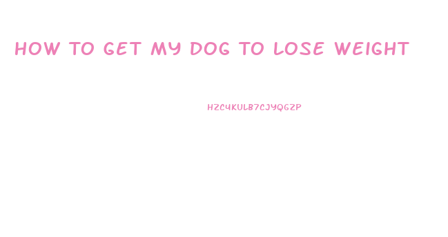 How To Get My Dog To Lose Weight