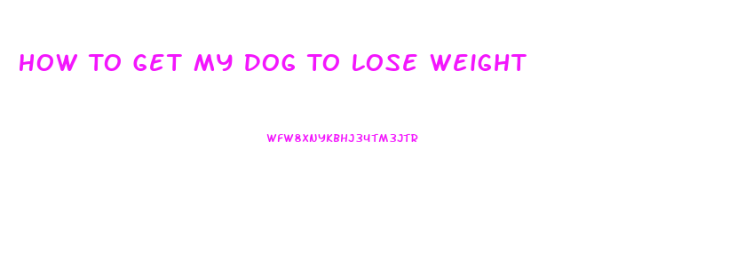 How To Get My Dog To Lose Weight