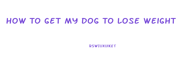 How To Get My Dog To Lose Weight