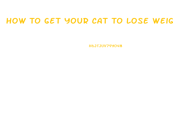 How To Get Your Cat To Lose Weight