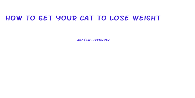 How To Get Your Cat To Lose Weight