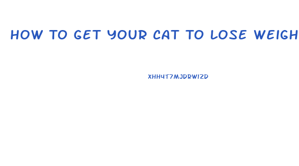 How To Get Your Cat To Lose Weight