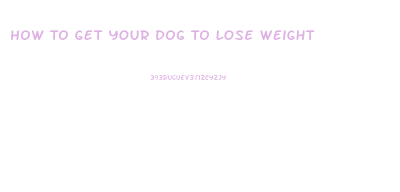 How To Get Your Dog To Lose Weight