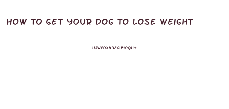 How To Get Your Dog To Lose Weight
