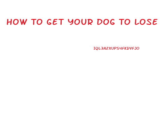 How To Get Your Dog To Lose Weight