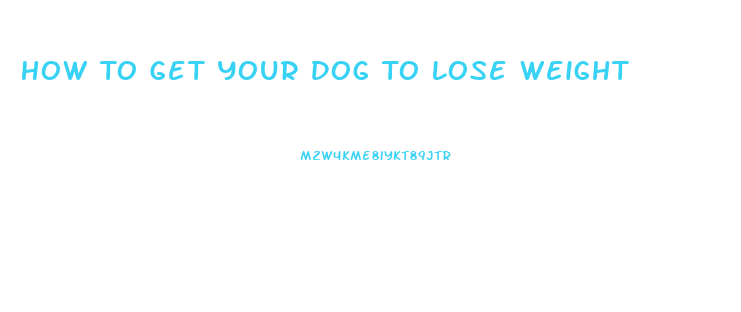 How To Get Your Dog To Lose Weight