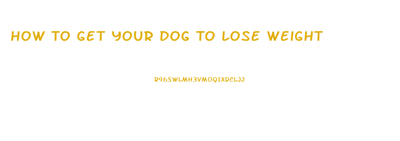 How To Get Your Dog To Lose Weight