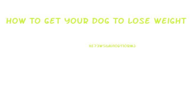 How To Get Your Dog To Lose Weight