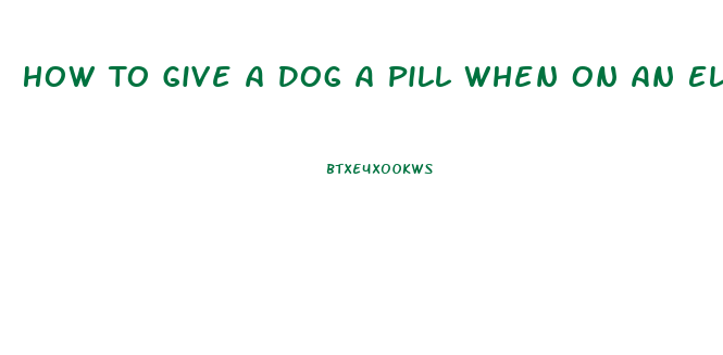 How To Give A Dog A Pill When On An Elimination Diet