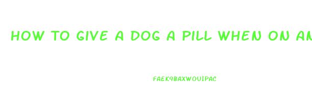 How To Give A Dog A Pill When On An Elimination Diet