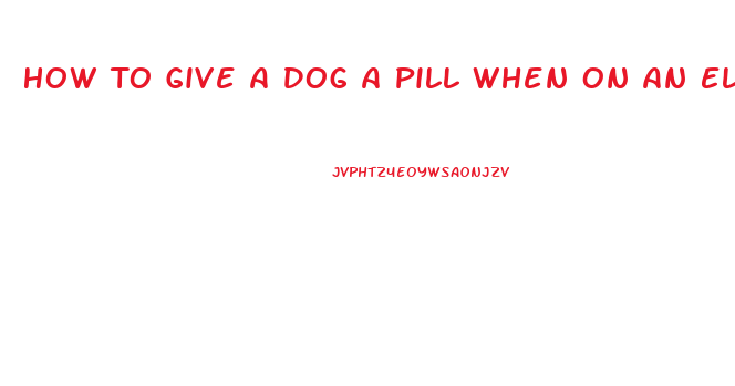 How To Give A Dog A Pill When On An Elimination Diet