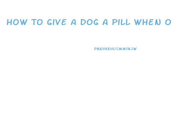 How To Give A Dog A Pill When On An Elimination Diet