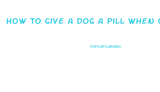 How To Give A Dog A Pill When On An Elimination Diet