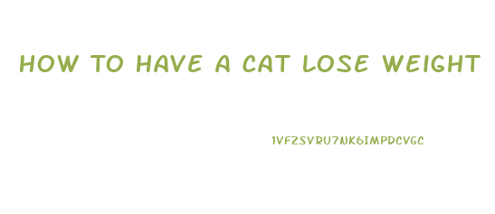 How To Have A Cat Lose Weight