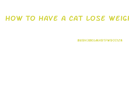 How To Have A Cat Lose Weight