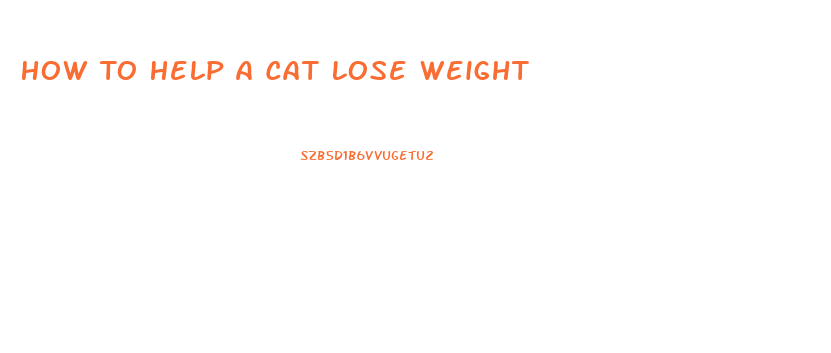 How To Help A Cat Lose Weight