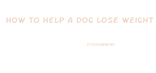How To Help A Dog Lose Weight