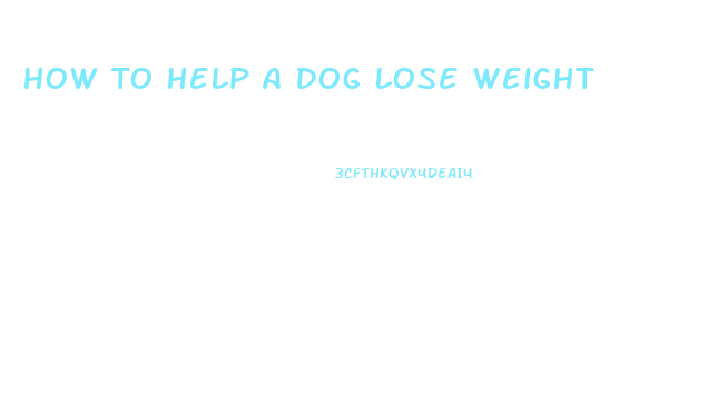 How To Help A Dog Lose Weight