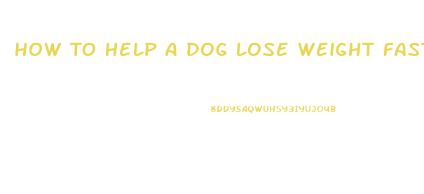 How To Help A Dog Lose Weight Fast