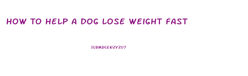 How To Help A Dog Lose Weight Fast