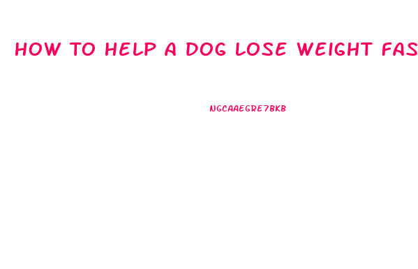How To Help A Dog Lose Weight Fast