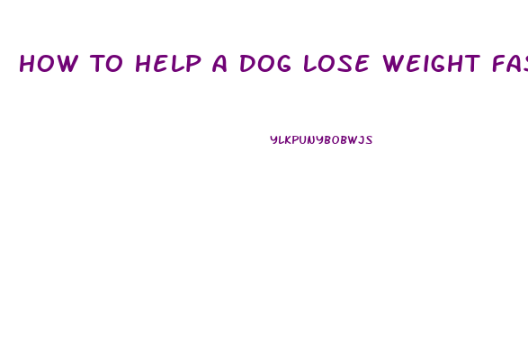 How To Help A Dog Lose Weight Fast