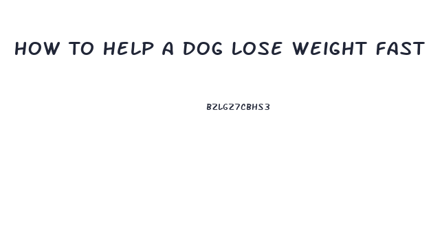 How To Help A Dog Lose Weight Fast