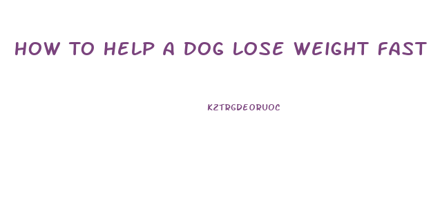 How To Help A Dog Lose Weight Fast