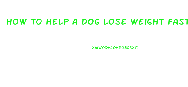 How To Help A Dog Lose Weight Fast