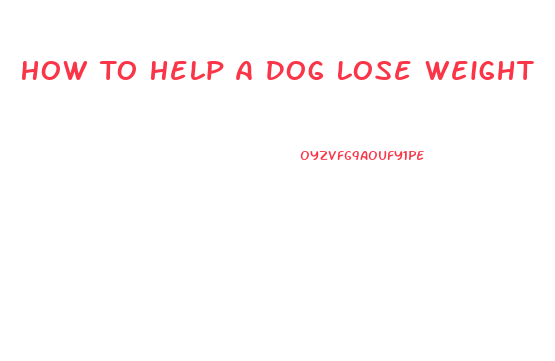 How To Help A Dog Lose Weight