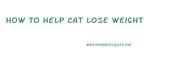 How To Help Cat Lose Weight