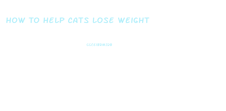 How To Help Cats Lose Weight