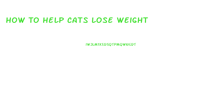 How To Help Cats Lose Weight