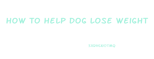 How To Help Dog Lose Weight