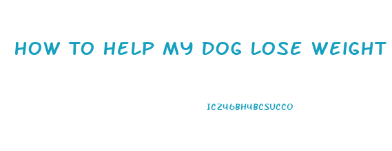 How To Help My Dog Lose Weight