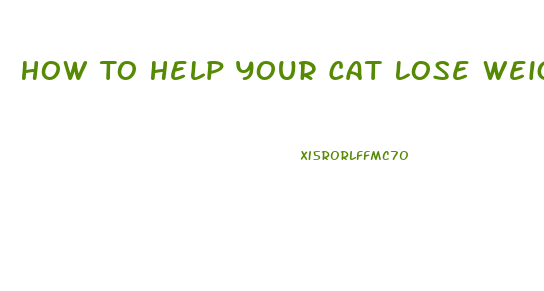 How To Help Your Cat Lose Weight